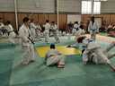 IMG-20230719-WA0152.jpg
